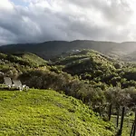 Tenuta San Felice *
