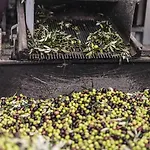 Tenuta San Felice * Giano dellʼUmbria
