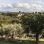 Tenuta San Felice *