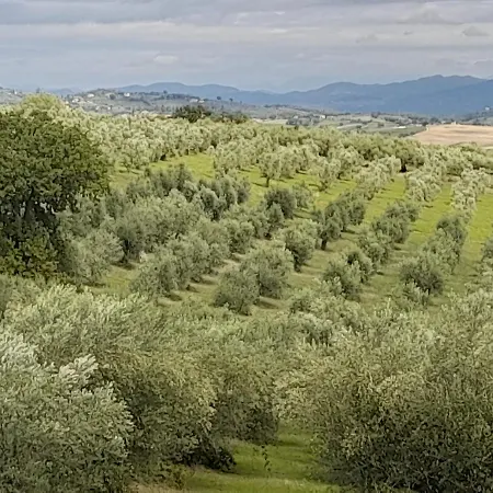 Tenuta San Felice