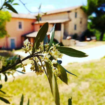 Alojamento de Turismo Rural Tenuta San Felice