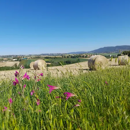 Κατάλυμα σε φάρμα Tenuta San Felice Giano dellʼUmbria