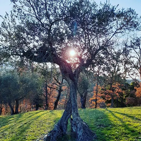 Tenuta San Felice