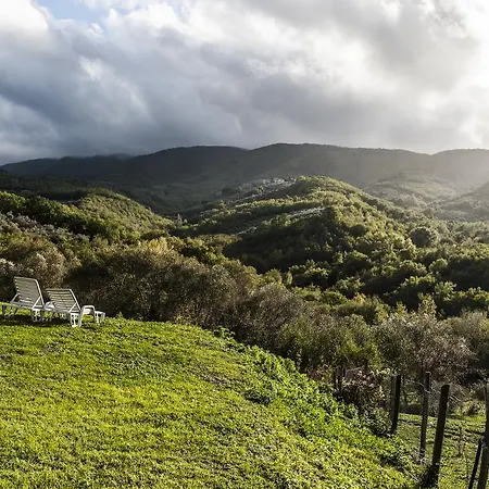Tenuta San Felice *