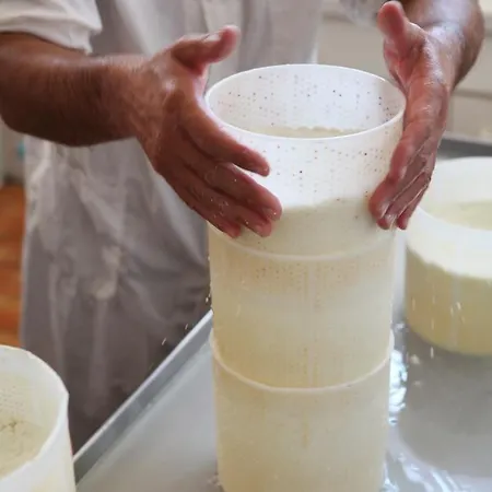 Alojamento de Turismo Rural Tenuta San Felice