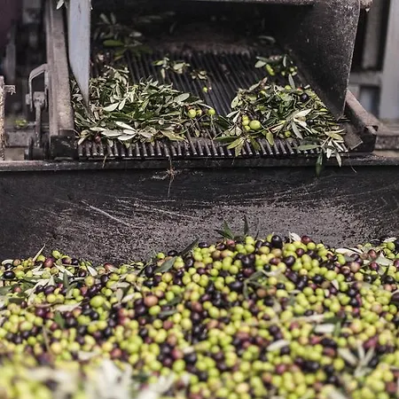 Tenuta San Felice * Giano dellʼUmbria