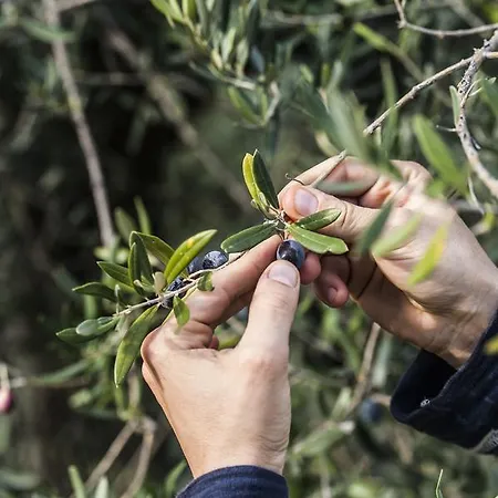 Tenuta San Felice Κατάλυμα σε φάρμα Giano dellʼUmbria