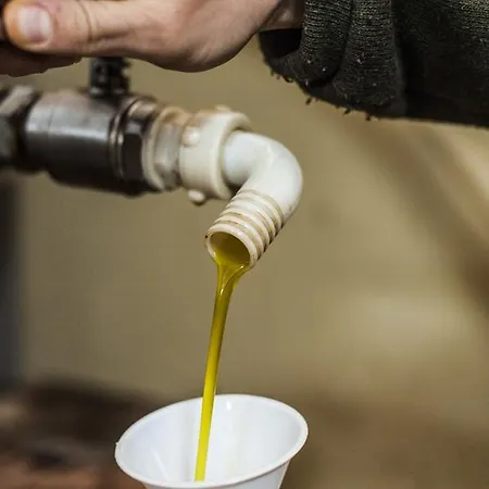 Alojamento de Turismo Rural Tenuta San Felice *