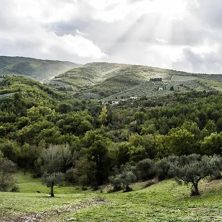 Tenuta San Felice * Giano dellʼUmbria