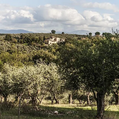 Tenuta San Felice *