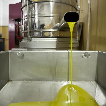 Tenuta San Felice Alojamento de Turismo Rural