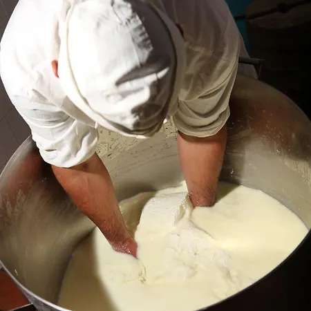 Tenuta San Felice Κατάλυμα σε φάρμα